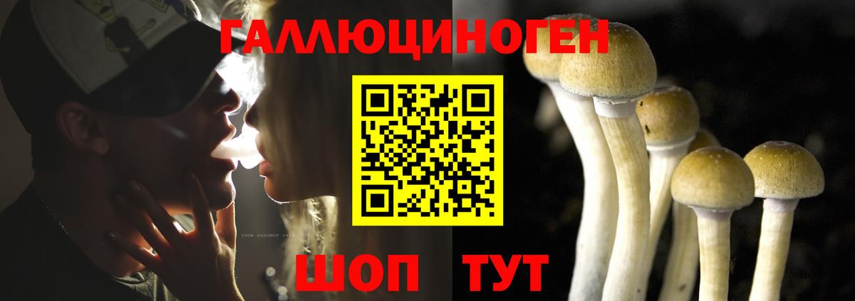 Псилоцибиновые грибы ЛСД  Псилоцибиновые грибы Psilocybine cubensis  Вход с VPN  Луховицы 
